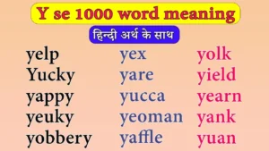 y se word meaning
